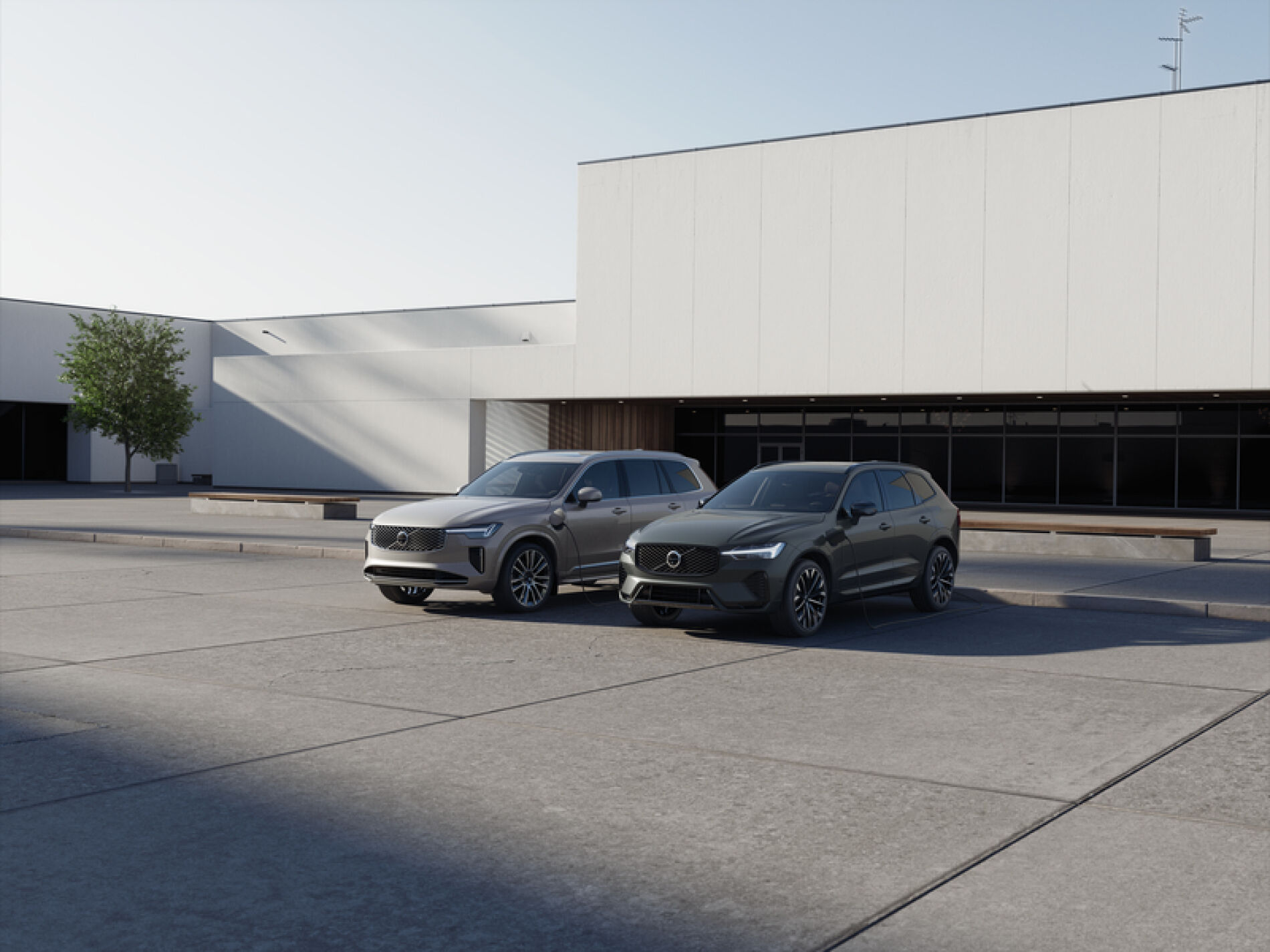 Спеціальні пропозиції - фото 1